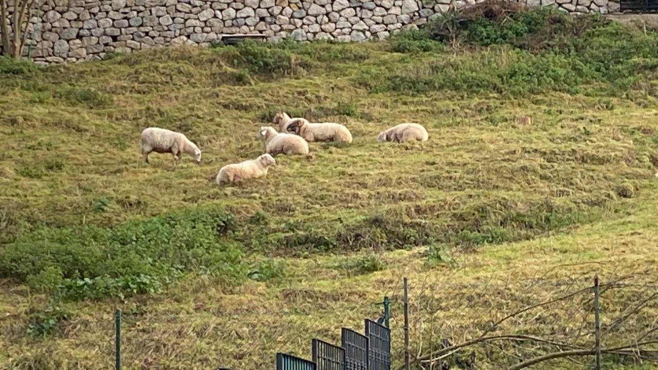 La Casa De Fito Cerca Del Centro De Comillas Zewnętrze zdjęcie